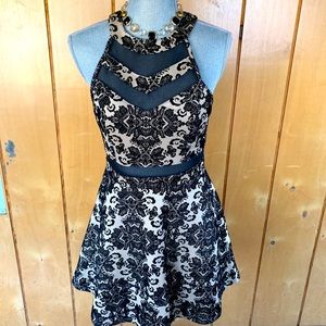 Windsor velvet sheer Dress